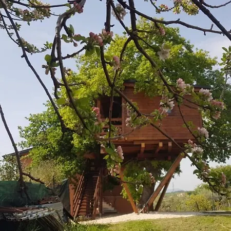 Casa Sull'albero Treehouse Costa Dei Trabocchi *
