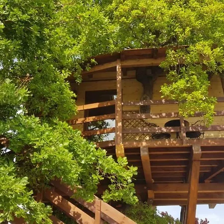 Casa Sull'albero Treehouse Costa Dei Trabocchi Apartment