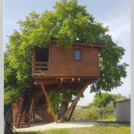 Appartement Casa Sull'albero Treehouse Costa Dei Trabocchi