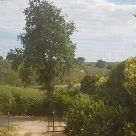 Casa Sull'albero Treehouse Costa Dei Trabocchi Torino di Sangro