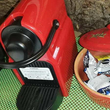 Casa Sull'albero Treehouse Costa Dei Trabocchi Appartement *