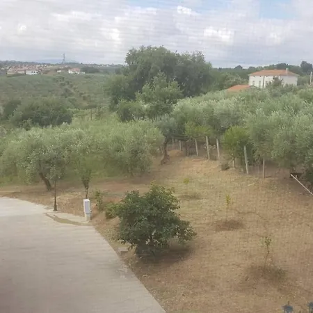 Casa Sull'albero Treehouse Costa Dei Trabocchi Apartment