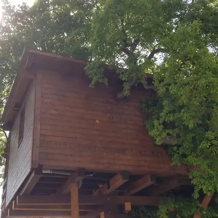 Casa Sull'albero Treehouse Costa Dei Trabocchi شقة تورينو دي سانغرو