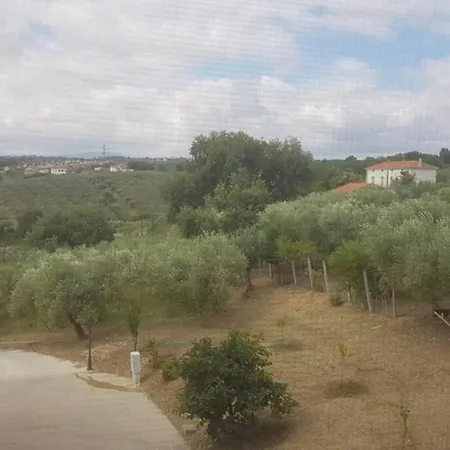 Casa Sull'albero Treehouse Costa Dei Trabocchi * Torino di Sangro