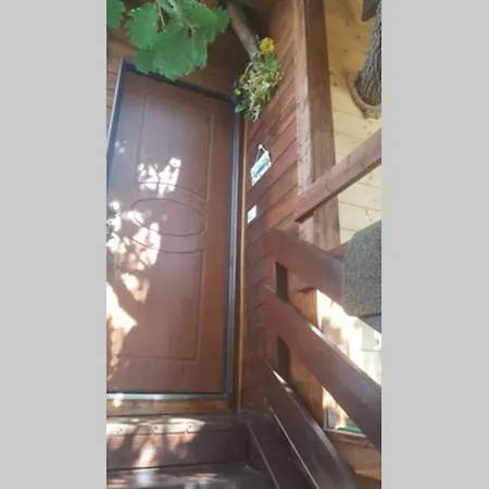 Casa Sull'albero Treehouse Costa Dei Trabocchi تورينو دي سانغرو