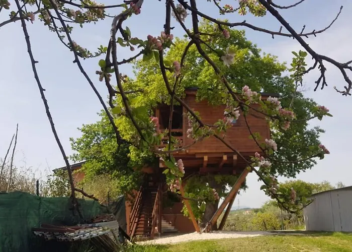 Casa Sull'albero Treehouse Costa Dei Trabocchi *