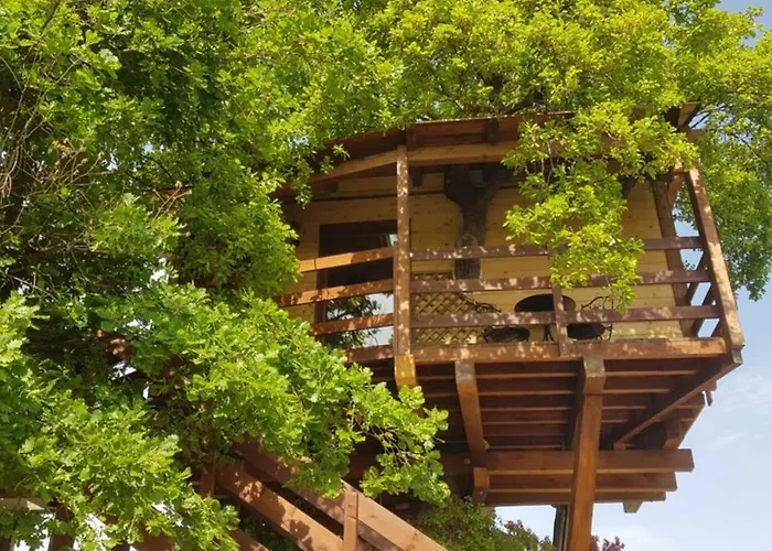 Casa Sull'albero Treehouse Costa Dei Trabocchi Апартаменты