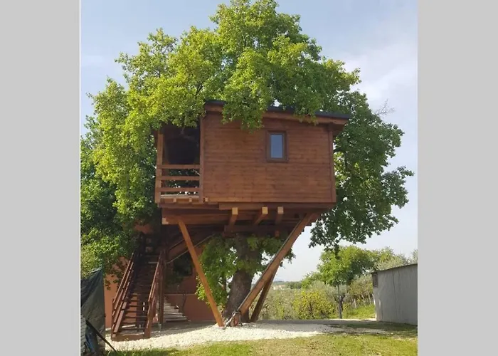 Daire Casa Sull'albero Treehouse Costa Dei Trabocchi