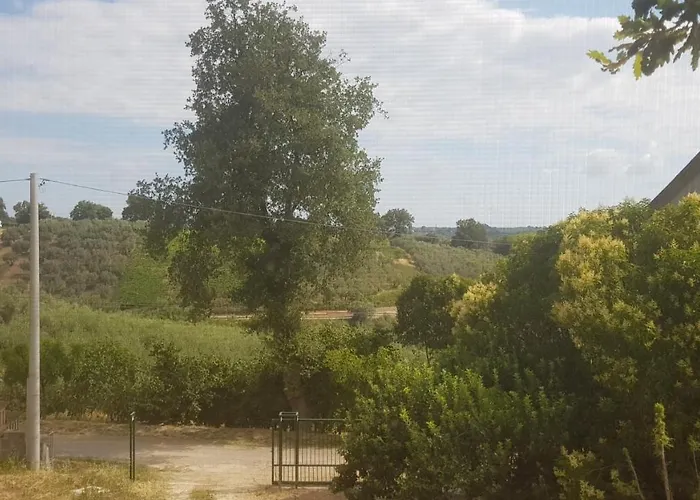 Casa Sull'albero Treehouse Costa Dei Trabocchi Торино-ди-Сангро