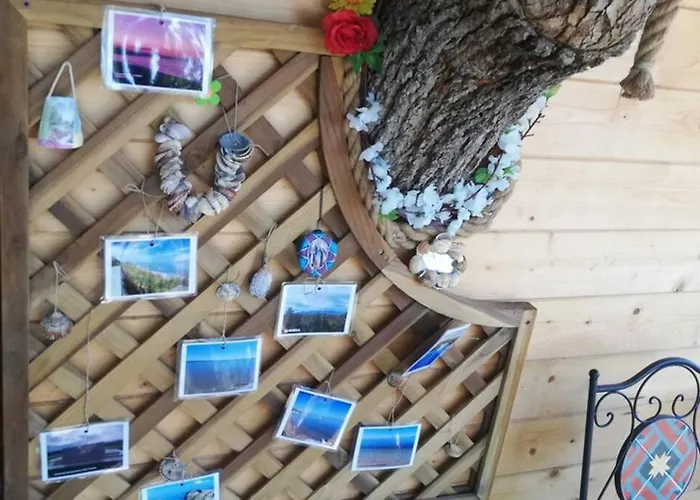 Casa Sull'albero Treehouse Costa Dei Trabocchi Daire