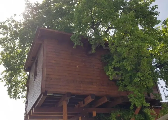 Casa Sull'albero Treehouse Costa Dei Trabocchi Апартаменты Торино-ди-Сангро