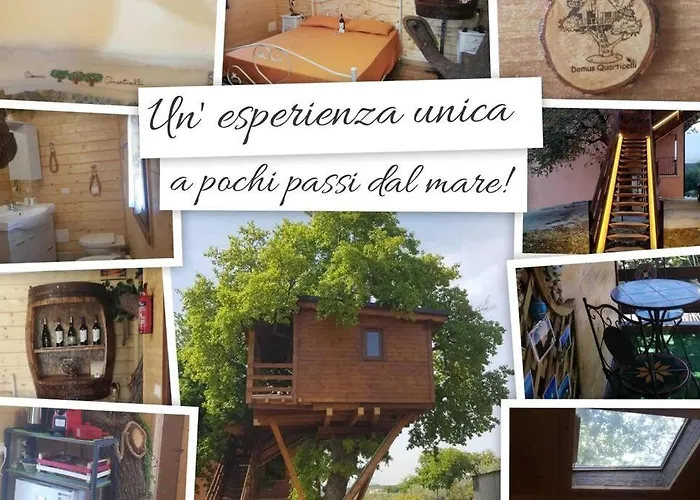 Daire Casa Sull'albero Treehouse Costa Dei Trabocchi